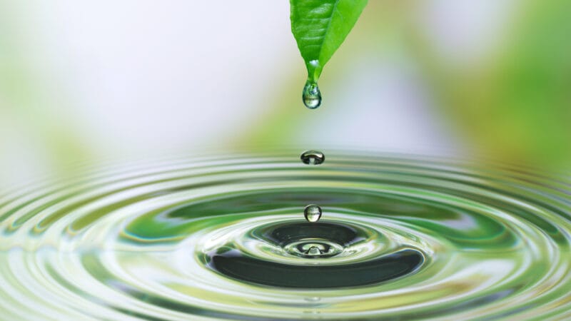 Industrie : réduisez votre consommation grâce à la récupération des eaux pluviales !